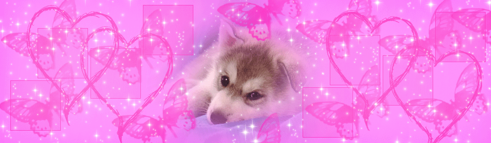kittikutyusai